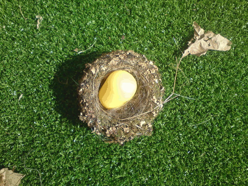  Nest 2