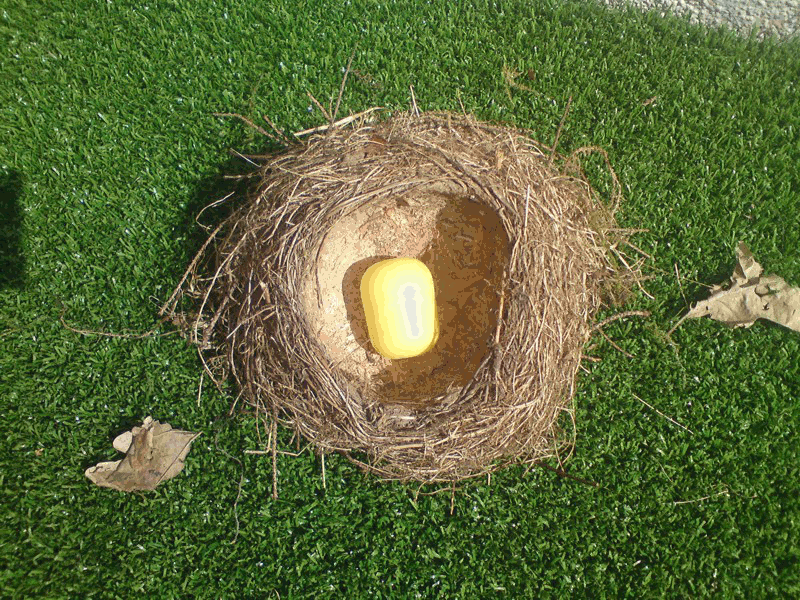  Nest 3